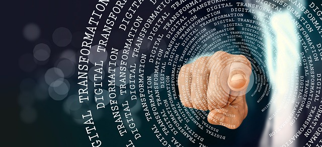 Management de la transformation de l'offre